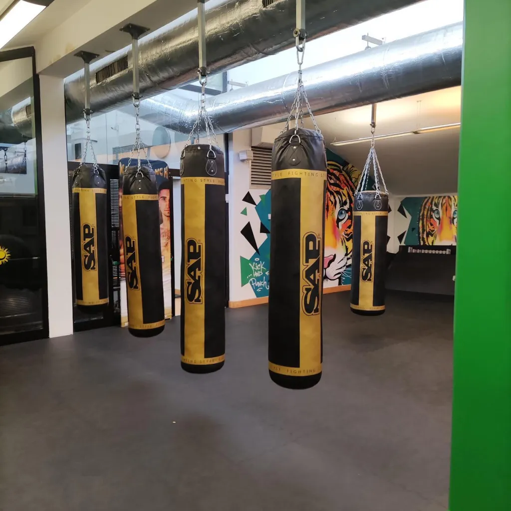 Training camp SAP Fighting Style
